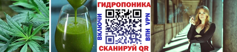 Canna-Cookies марихуана blacksprut зеркало Коркино