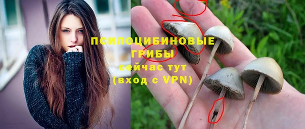 кокаин премиум Алексеевка