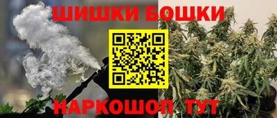 крисы Будённовск