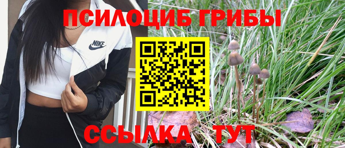 Псилоцибиновые грибы Psilocybine cubensis  Галлюциногенные грибы Psilocybine cubensis  Вход с VPN  Коркино 
